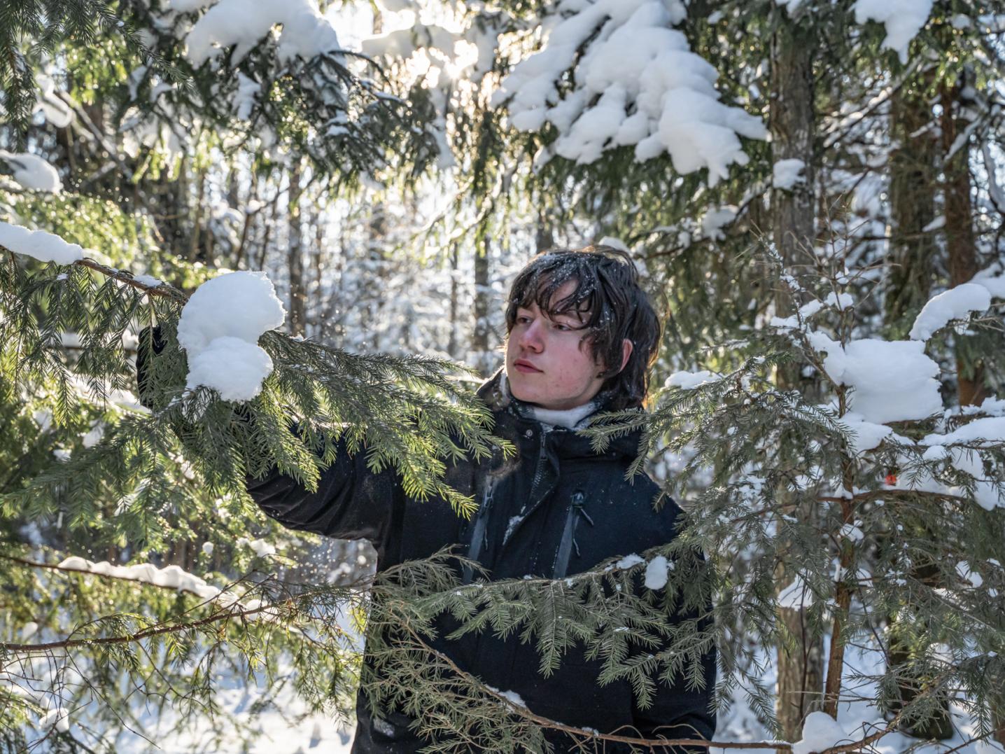 Man in between snowy trees
