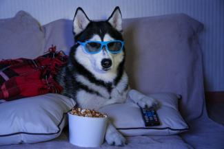 VOD online streaming