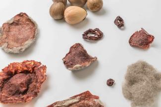 Design from food waste MaDe workshop