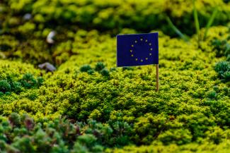papieren vlaggetje van de Europese Unie op een bedje van mos