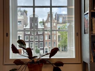 A plant in pot in front of a window, with outside a view on old amsterdam canal houses