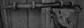 Header image for Annemie Wolff