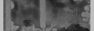 Header image for Camerata RCO