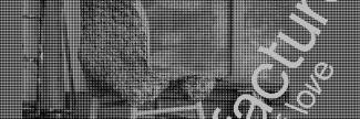 Header image for Agne Kucerenkaite