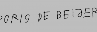 Header image for Boris de Beijer