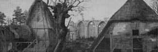 Header image for Cornelis van Dalem