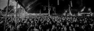 Header image for Gladiolen