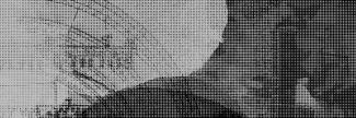Header image for Olé Party