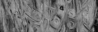 Header image for Ineke van der Wal