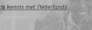 Header image for Stichting Via Nobel