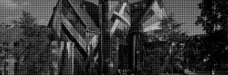 Header image for Bruges Triennial