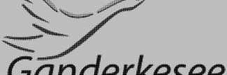 Header image for Saint Cyprian und Cornelius