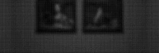 Header image for Dirk Hardy