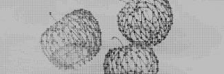 Header image for Floor Mommersteeg