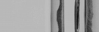 Header image for Lore Langendries