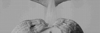 Header image for Matilde Boelhouwer