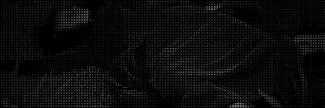 Header image for Janis Melederis