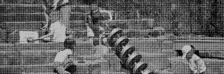 Header image for Drei Länder Garten