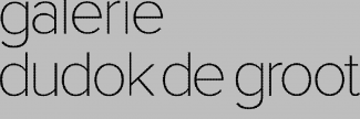 Header image for Galerie Dudokdegroot