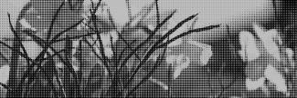 Header image for Veranstaltungsforum Fürstenfeldbruck