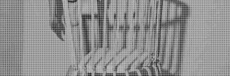 Header image for Elise Luttik