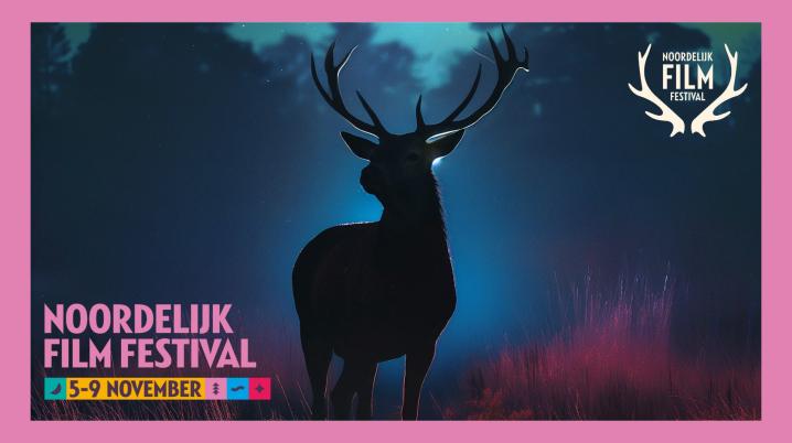 Noordelijk Film Festival 5-9 november